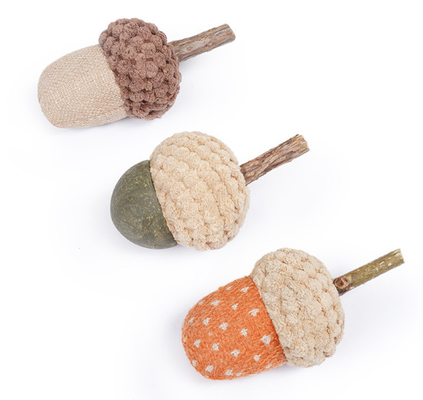 Scratcher Training Catnip Chew Toys For Cats Teeth For Pets Kittens Kitty Supplies
