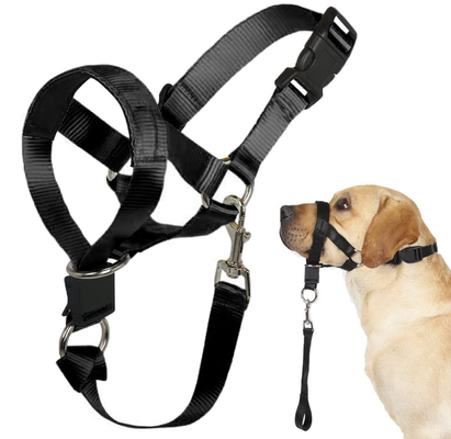 Dog over the nose dog lead Head Collar Halter with Safety Strap