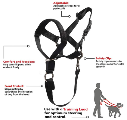 Dog over the nose dog lead Head Collar Halter with Safety Strap