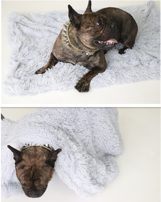 Plush Pet Mat Double Layer Pet Blanket Dog Mat Cat Blanket Warm And Comfortable