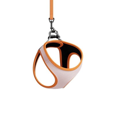 Pet Polyester Leash Breathable Mesh Harness For Dog Walking Small Dogs And Cats