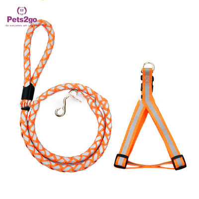 Smart Light Up 5m Pet Collar And Leash For Dog