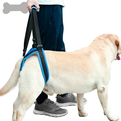 Nylon Pet Leg Support Belt Rear Leg Disability Injury High Aged Dog Stair Auxiliary