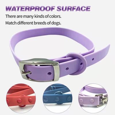 Anti Fouling Waterproof PVC Dog Collar And Leash Set