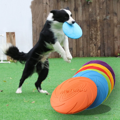 Hard Rubber Chew Toys For Dogs Indoor Interactive Eco Friendly