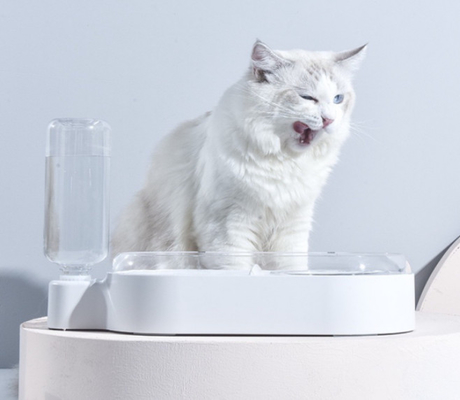 Ceramic Pet Feeder Bowls Set 15 Degree Tilted Platform For Water Food