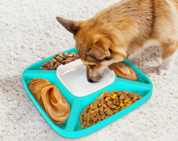 Pet Puzzle Slow Feeder IQ Interactive Training Toy