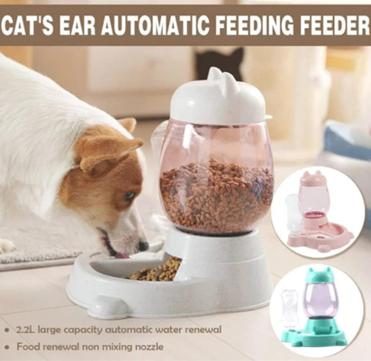 Non Toxic Ceramic Automatic Water Dispenser For Dog