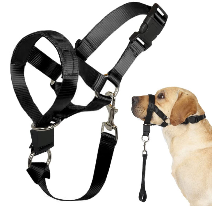 Dog over the nose dog lead Head Collar Halter with Safety Strap